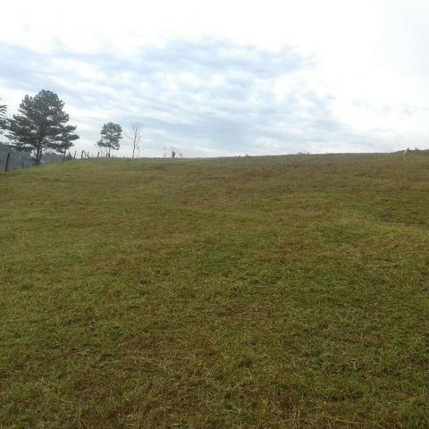 Linda área para Sítio, 10.000 m2 em ótima localização, pronto para construir - Foto 7