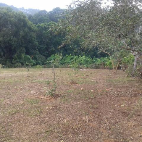 Linda área para Sítio, 10.000 m2 em ótima localização, pronto para construir - Foto 14