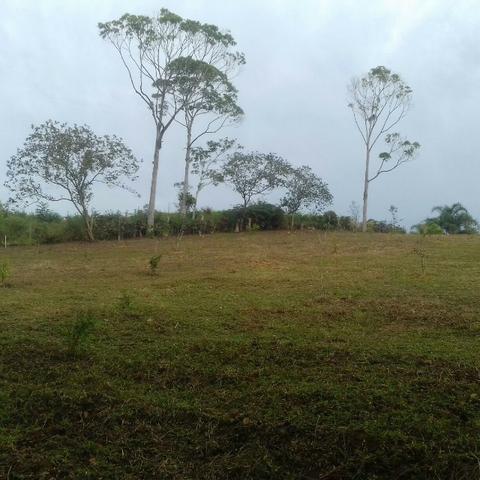 Linda área para Sítio, 10.000 m2 em ótima localização, pronto para construir - Foto 13