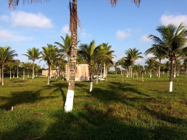 L- Terrenos Próximo ao Trevo de Búzios!! - Foto 5