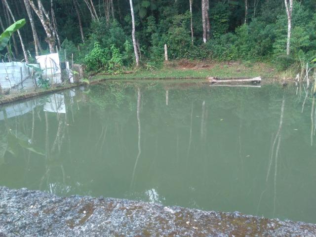 Chácara simples,mas aconchegante,lago na propriedade