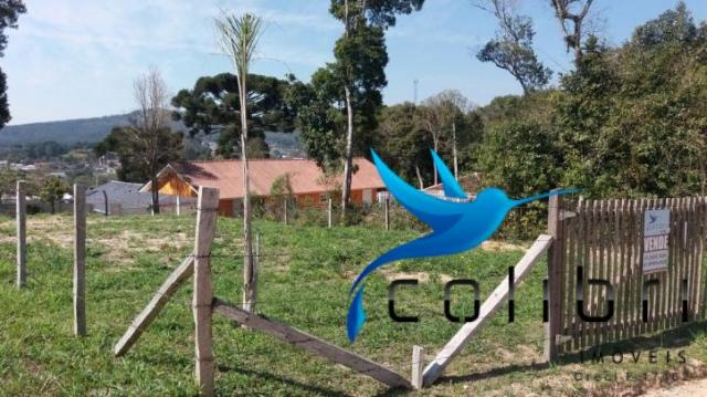 Lindo terreno pronto para construir em agudos do sul - Foto 4