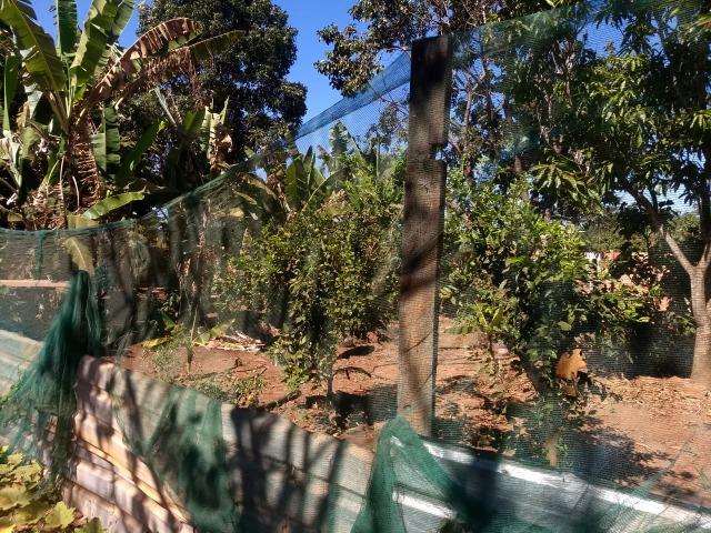 Chácara localizada em Águas Lindas 2000m² - Foto 8
