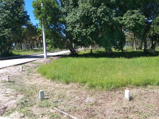 Jô - Residencial padrão - Foto 5