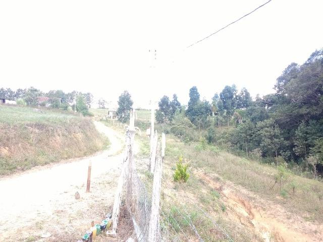 REF. 2155 - 2,24 alqueires - Rio Verde Abaixo / Campestre - Foto 15