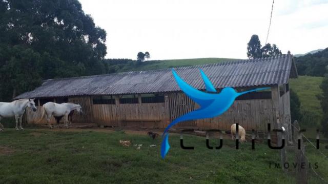 Sítio de porteira fechada em agudos do sul - pr - Foto 4