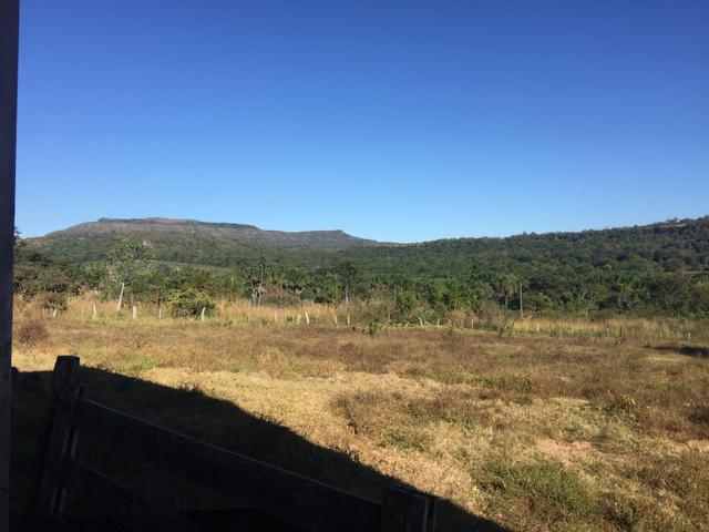 Vendo propriedade 703 hectares - Foto 7