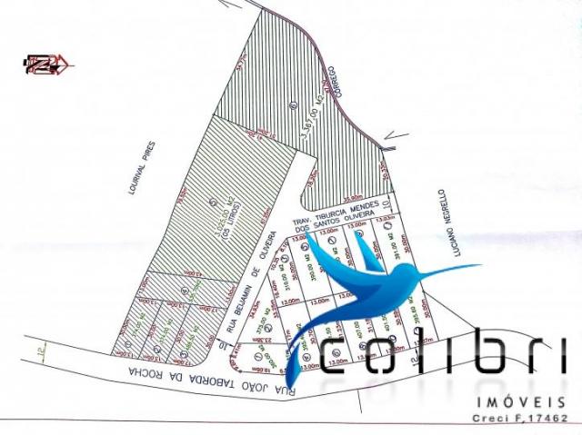 Ótimos lotes urbanos em agudos do sul - pr - Foto 2