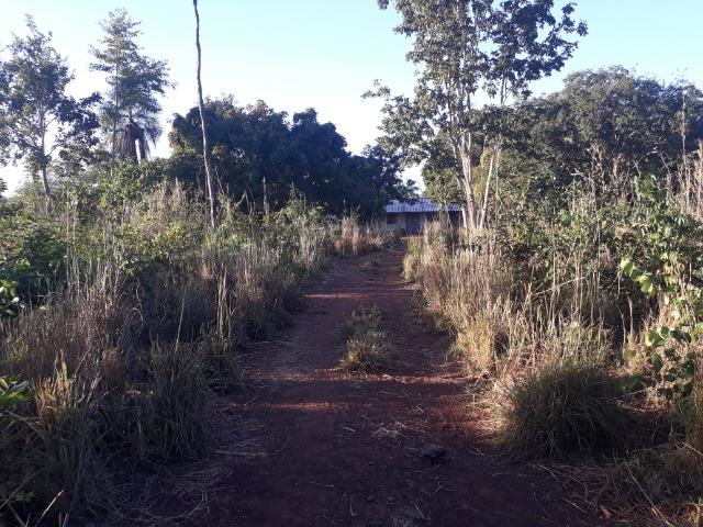 Chácara de terra boa a 9 km de Acorizal - Foto 18