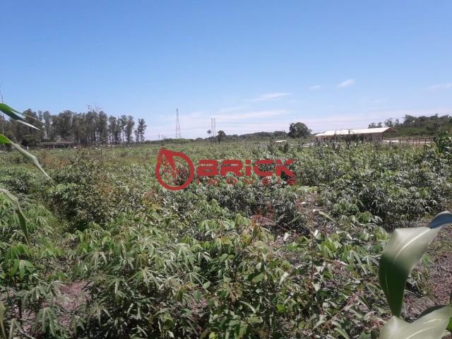 Terreno com 10 mil m² em várzea alegre- guapimirim. - Foto 5