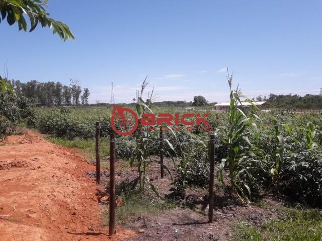 Terreno com 10 mil m² em várzea alegre- guapimirim. - Foto 4