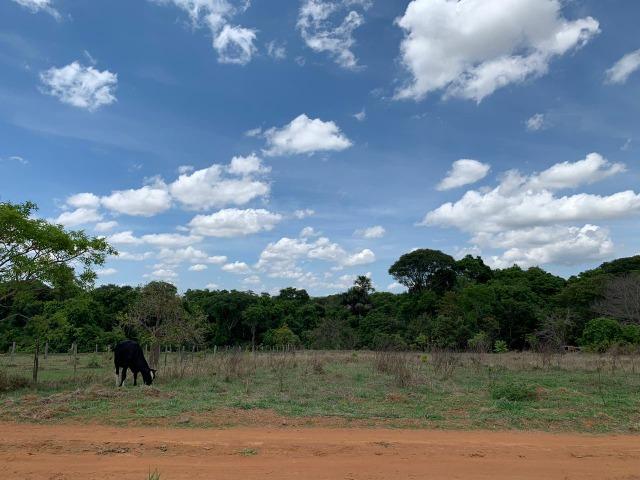 Fazenda Extra em Hidrolândia-GO. 40 km Goiânia - Foto 10