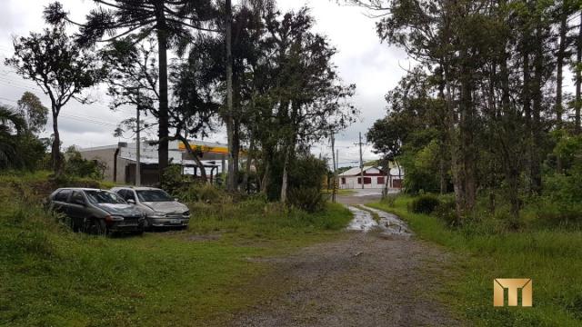Terreno à venda em Bela vista, Caxias do sul cod:459 - Foto 4