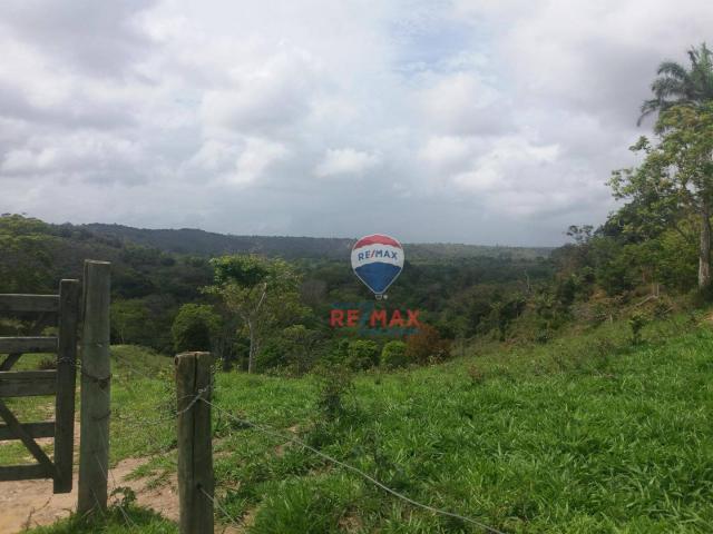 Re/max chave de ouro vende fazendas nas margens do rio buranhém - Foto 3