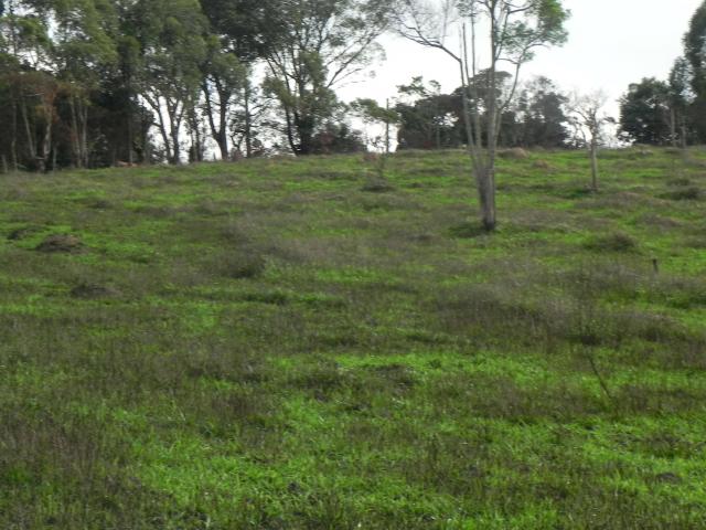 Agt-Lindos terrenos na promoção em Mairiporã,direto com dono. - Foto 7