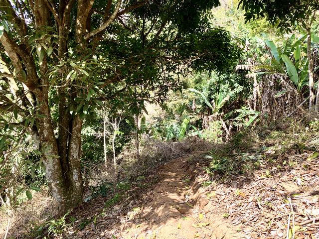 Linda chácara em Santa Teresa frente vale do Caravagio - Foto 12
