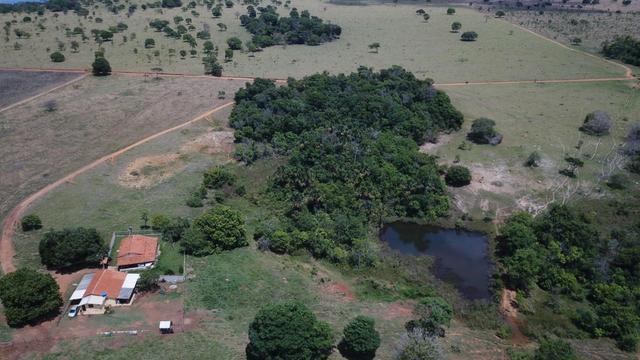 Fazenda Extra em Hidrolândia-GO. 40 km Goiânia