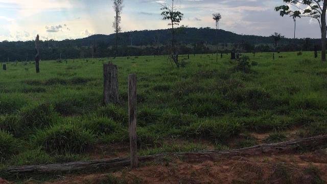 Fazenda 2.904 ha Nova Monte Verde MT - Foto 6