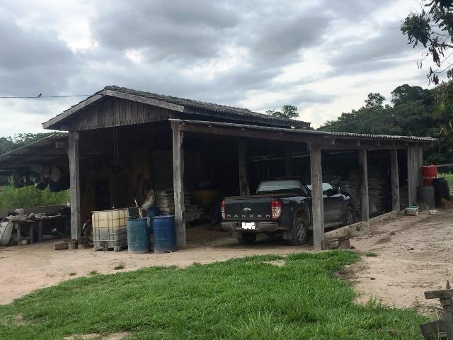 Fazenda 2.904 ha Nova Monte Verde MT - Foto 13
