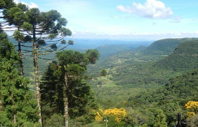 No centro de Gramado/RS, Apartamento de Frente para o Vale - Foto 5