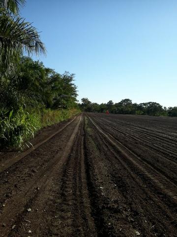 Sitio a venda em santo antonio do leverger - Foto 4
