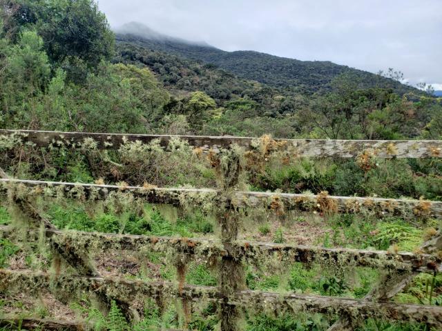 Área Rural entre Rio Rufino/ Urupema - Foto 2