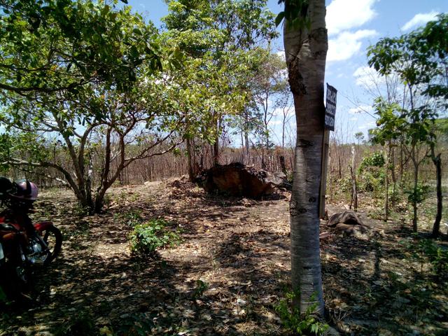 Terreno - Foto 7
