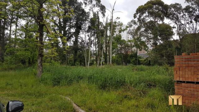 Terreno à venda em Bela vista, Caxias do sul cod:459 - Foto 8