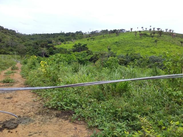 Venda