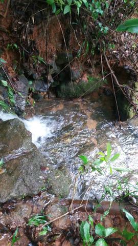 Sitio viana aceito casa em campo grande - Foto 12