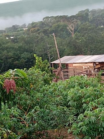Ágio de chácara próximo Abadiânia velha - Foto 8