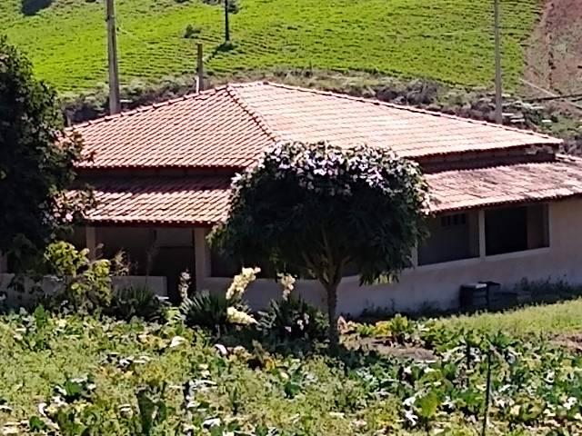 Sitio minis freire 4 alqueires - Foto 5