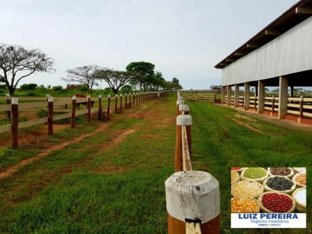 FAZENDA A VENDA DE 5.159 hECTARES EM BONITO - MS (Dupla aptidão) - Foto 4