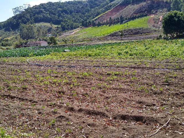 Sitio minis freire 4 alqueires - Foto 11