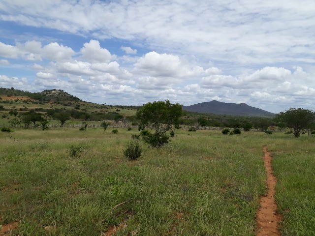 Fazenda Oportunidade