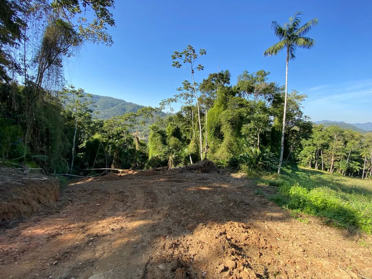 Sítio em Pomerode  - Foto 2