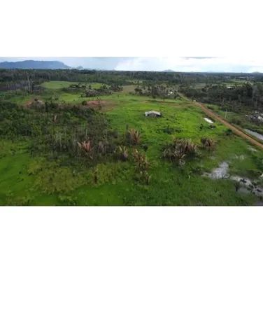 Fazenda metade do preço hoje - Foto 4