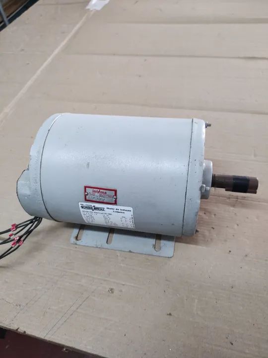 Motor de indução trifásico 