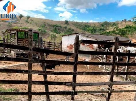 Chácara em Chã Grande/PE à Venda (CH0046-DV) - Foto 4