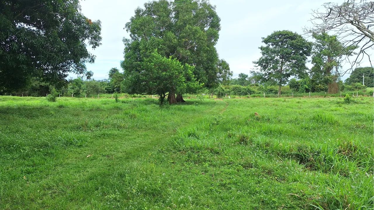 Vendo Sítio 10 Alqueires 4 km De Alvorada Do Oeste! - Foto 3