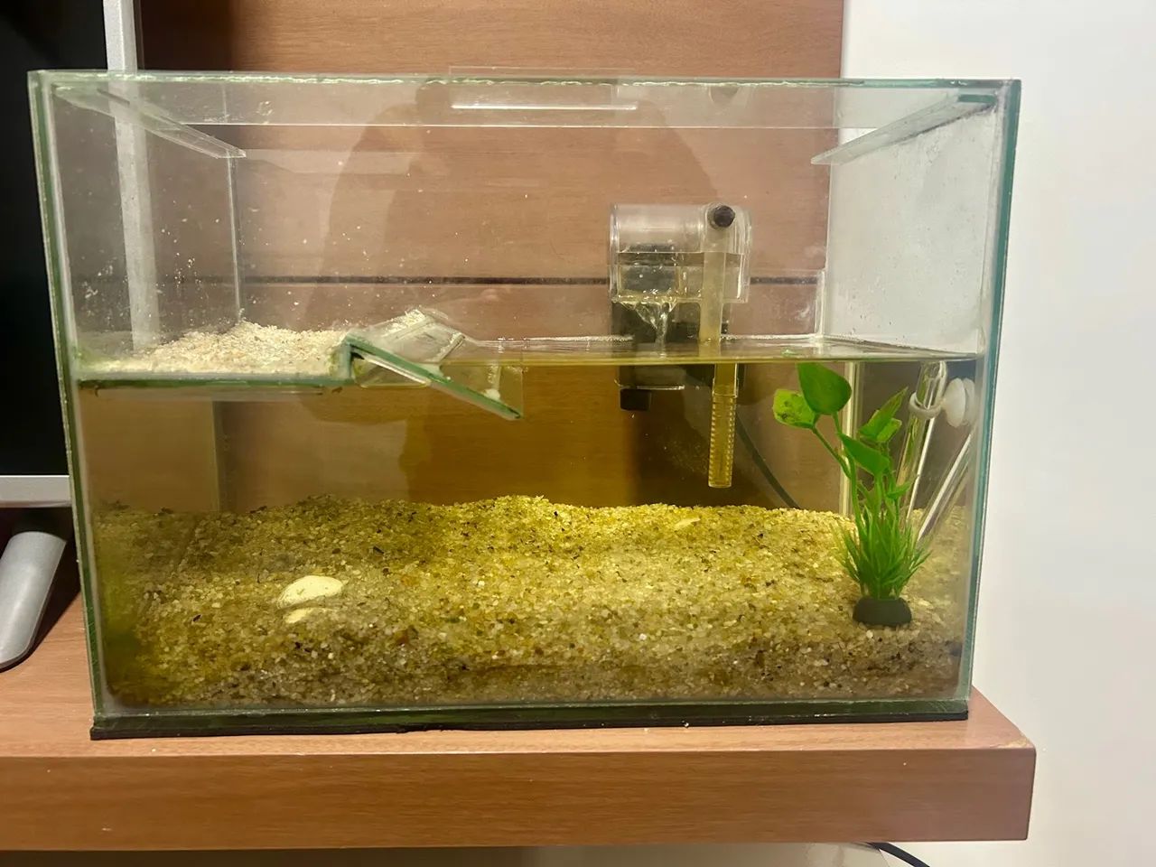 AQUATERRÁRIO PARA TARTARUGA COMPLETO