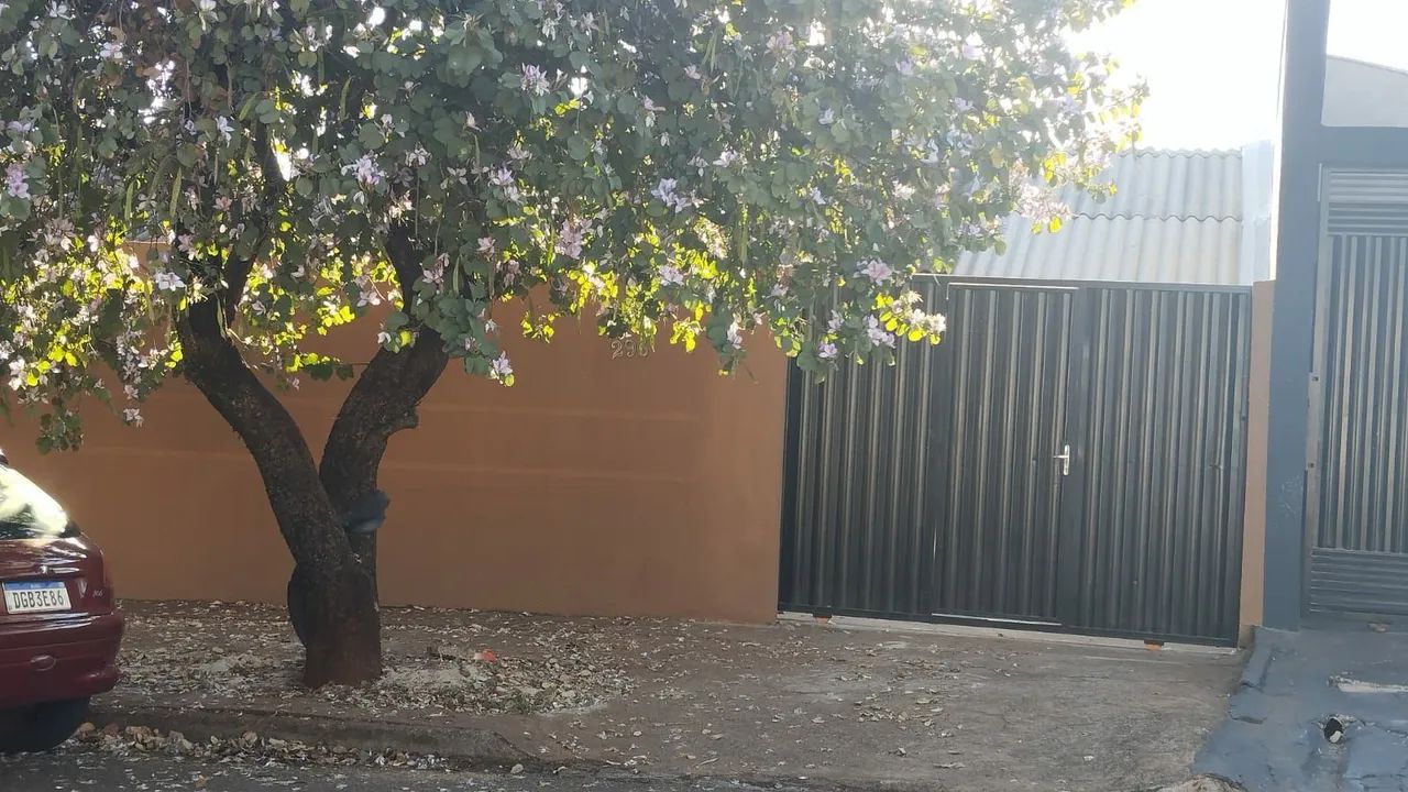 Foto - Maringá - Parque Tarumã