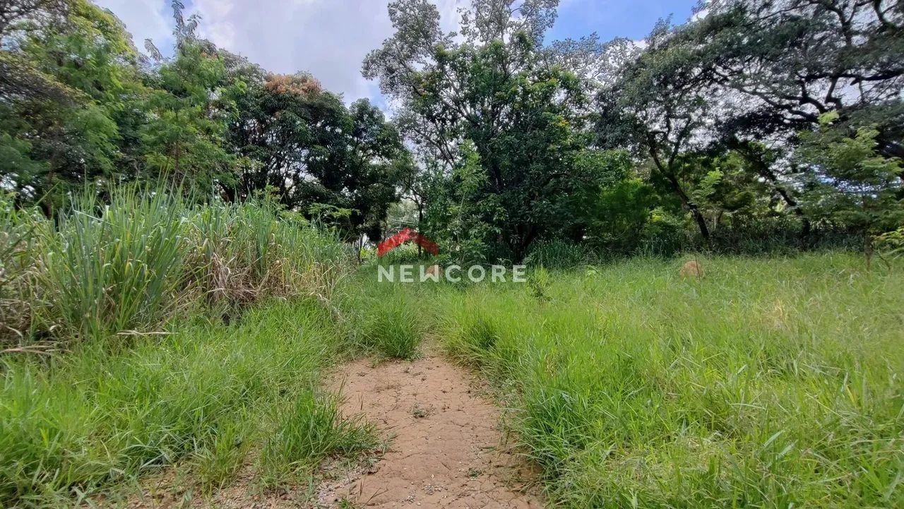 Lote em Rua José Simplício Moreira - Trevo - Belo Horizonte/MG - Foto 7