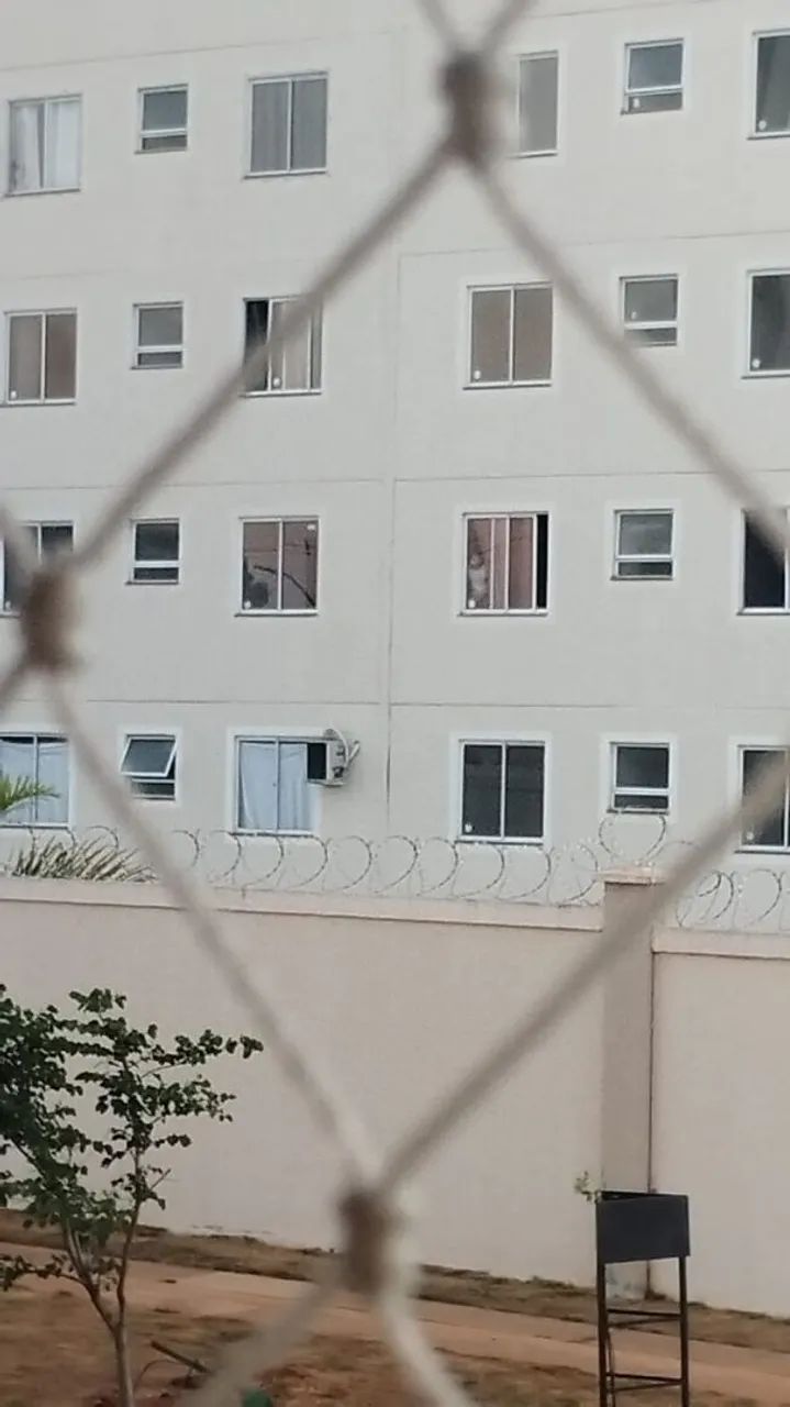 Foto - Goiânia - Vila Mutirão I