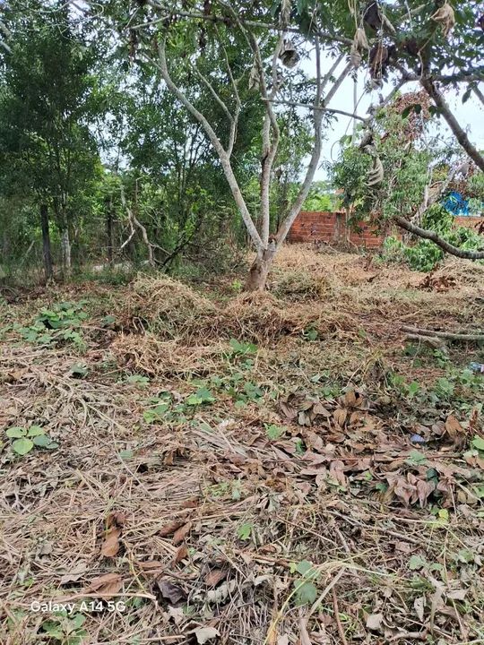 Vende-se terreno  - Foto 2