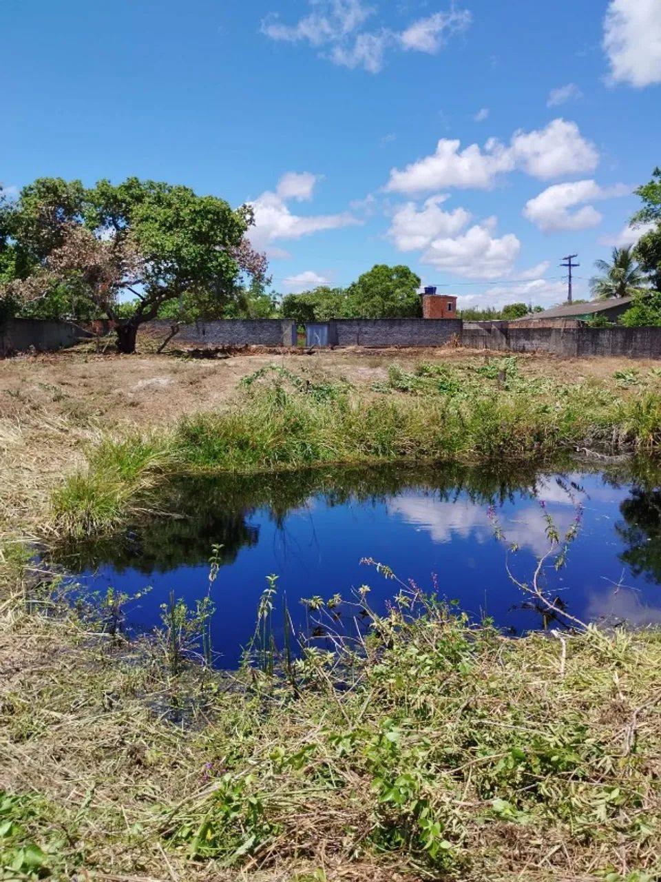Vendo - Lote - Murado - Barra de Pojuca - Foto 6