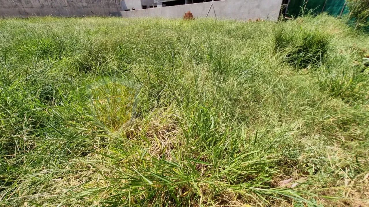 Terreno em Condomínio Fechado, 611,77 m², Nova Aliança Sul - Foto 3