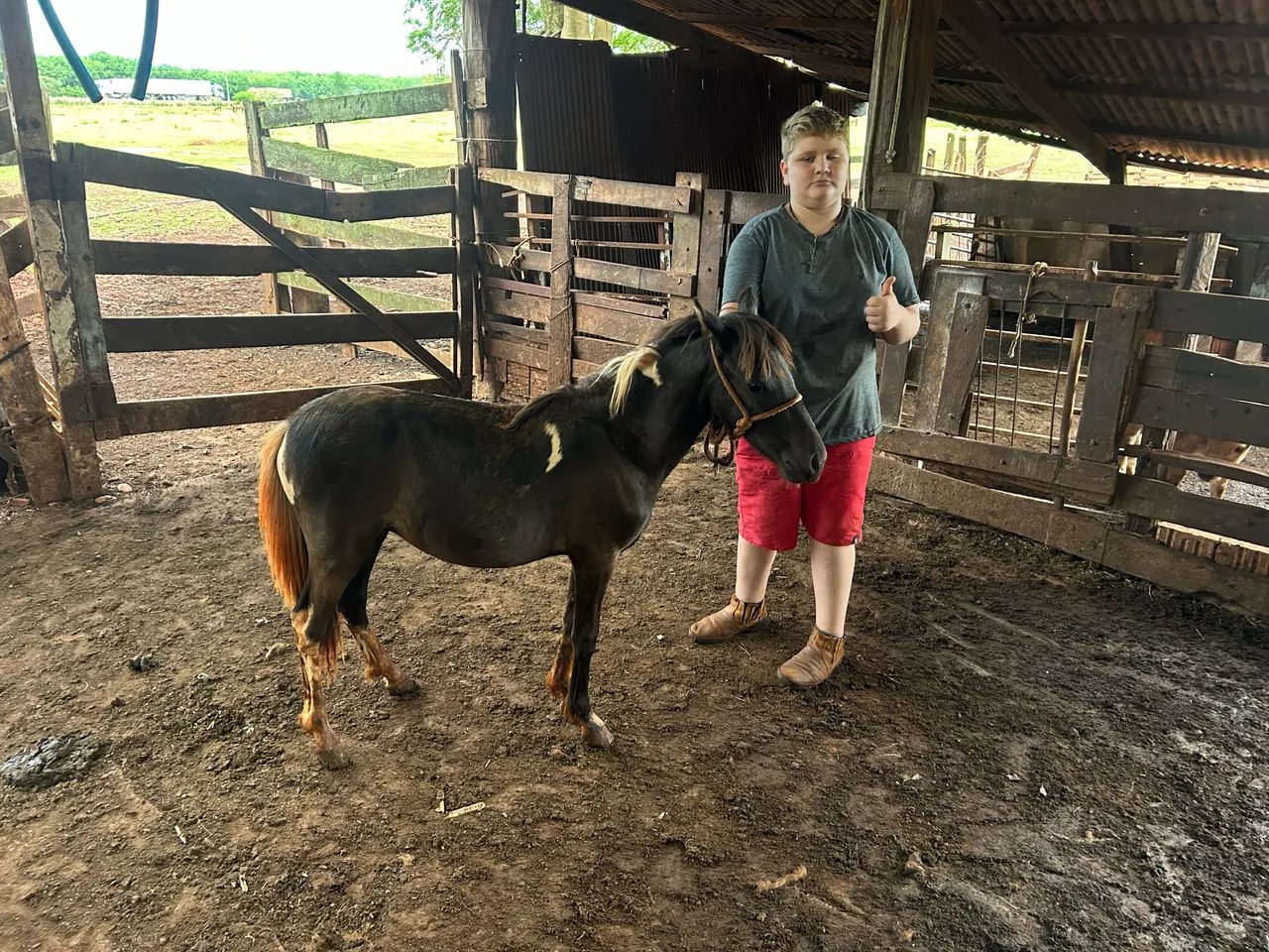 Mine Ponei  - Foto 2