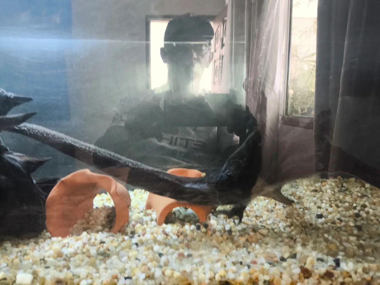 Aquário Completo com Móvel - Foto 3