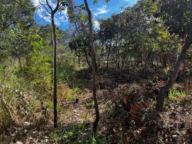 Lote em Condominio Fechado - Foto 5